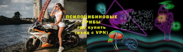 дживик Белоозёрский