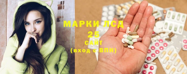 стаф Белокуриха