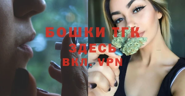 стаф Белокуриха