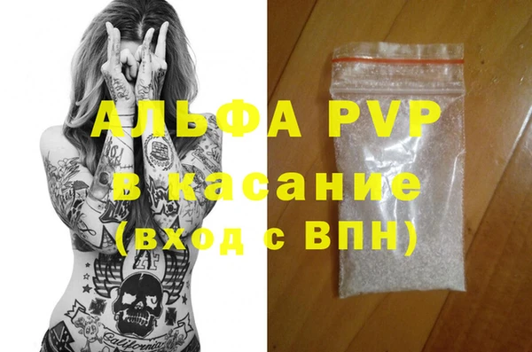 стаф Белокуриха