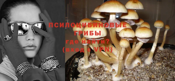 стаф Белокуриха